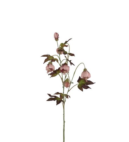 Blomsterlönn - Rosa - 83 cm - www.frokenfraken.se