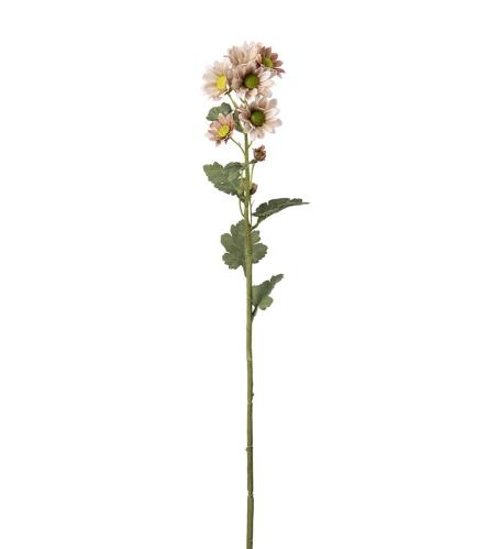 Chrysanthemum - Rosa - 58 cm - www.frokenfraken.se