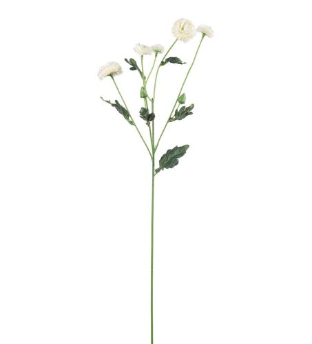Chrysanthemum - Vit - 60 cm - www.frokenfraken.se