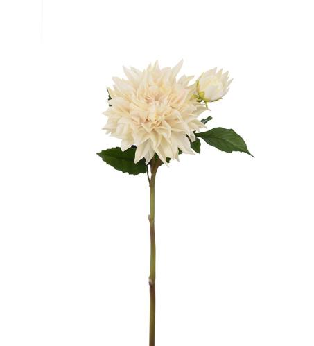 Dahlia - Cream - 70 cm - www.frokenfraken.se