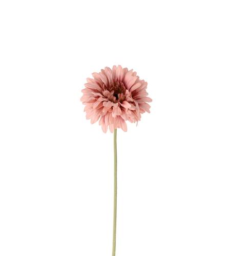 Gerbera - Rosa - 55 cm - www.frokenfraken.se