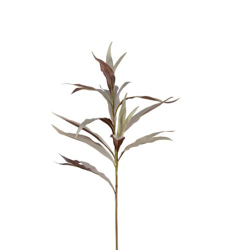 Grevilleakvist - Grå - 85 cm - www.frokenfraken.se