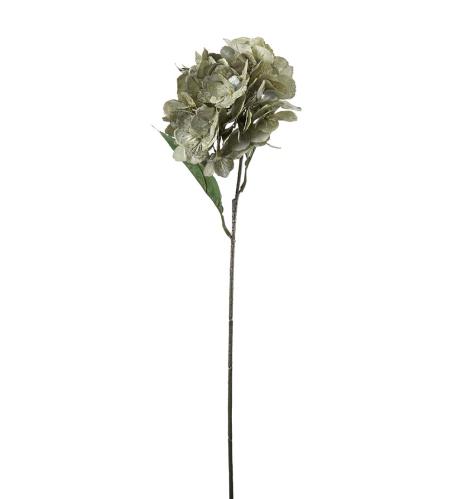 Hortensia - Grön - 60 cm - www.frokenfraken.se