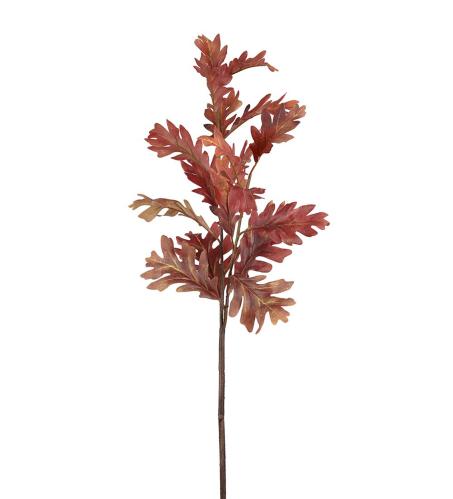 Höstlöv - Ek - Brun - 110 cm - www.frokenfraken.se