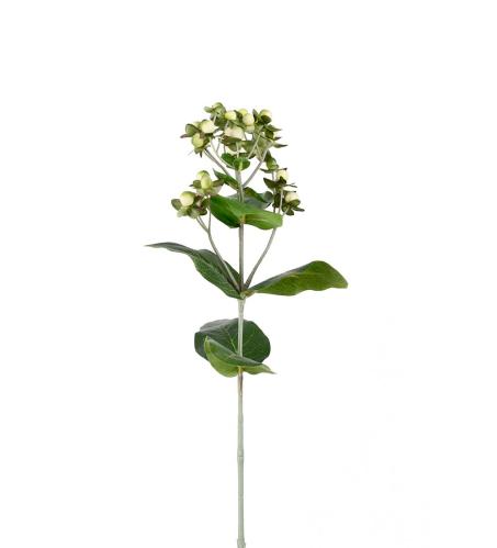 Hypericum - Cream - 68 cm - www.frokenfraken.se