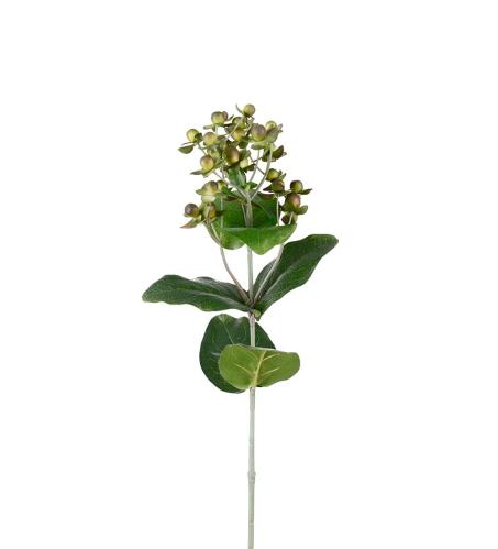 Hypericum - Grön - 68 cm - www.frokenfraken.se