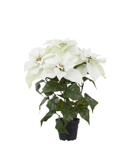 Julstjärna - Vit - 45 cm - www.frokenfraken.se