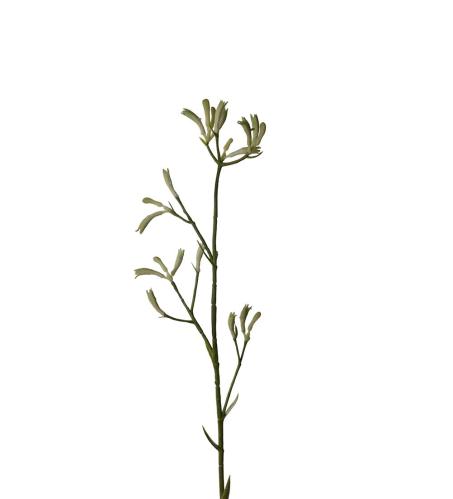 Kängurutass - Grön - 78 cm - www.frokenfraken.se