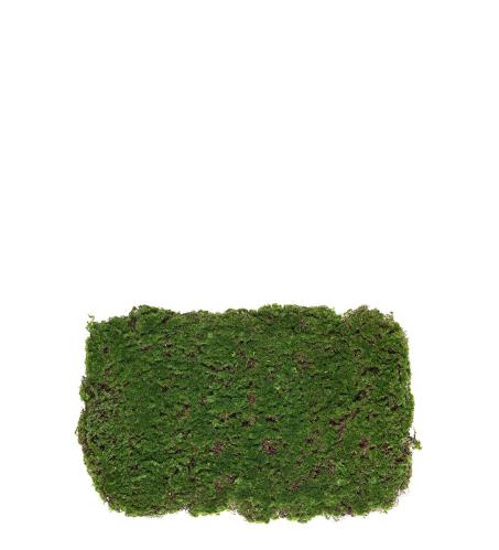 Mossa - Grön - 40 x 60 cm - www.frokenfraken.se