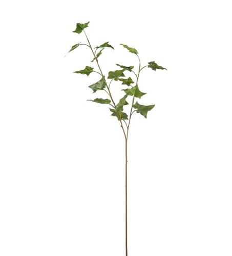 Murgröna - Grön - 70 cm - www.frokenfraken.se