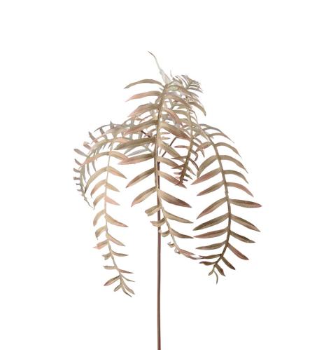 Ormbunksblad - Beige - 50 cm - www.frokenfraken.se