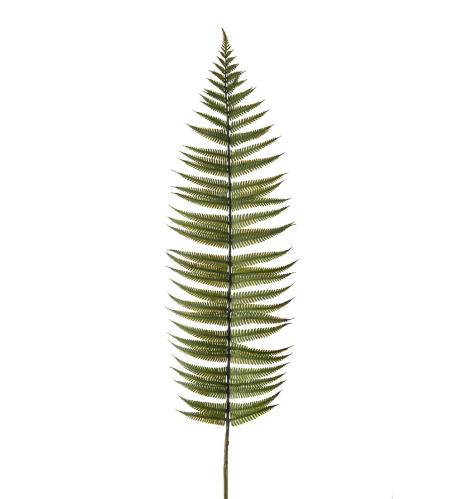 Ormbunksblad - Grön - 105 cm - www.frokenfraken.se