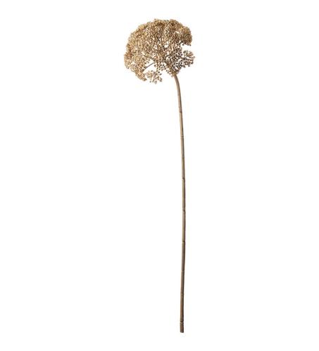 Röllika - Beige - 80 cm - www.frokenfraken.se