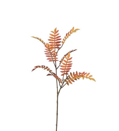 Rönn - Orange - 60 cm - www.frokenfraken.se