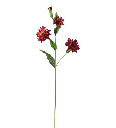 Rudbeckia - Röd - 80 cm - www.frokenfraken.se