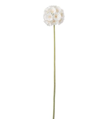 Scabiosa - Cream - 60 cm - www.frokenfraken.se