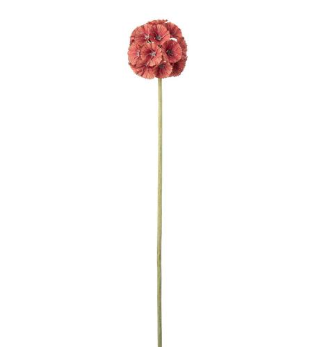 Scabiosa - Orange - 60 cm - www.frokenfraken.se