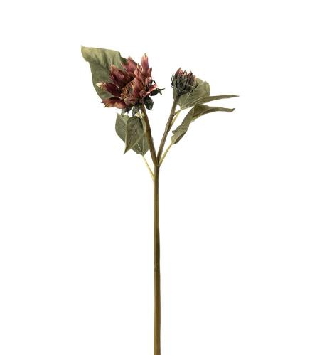Solros - Lila - 74 cm - www.frokenfraken.se