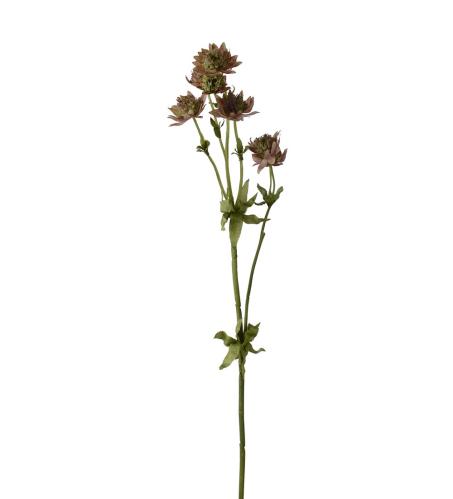 Stjärnflocka - Rosa - 55 cm - www.frokenfraken.se