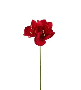 Amaryllis - Röd - 63 cm - www.frokenfraken.se