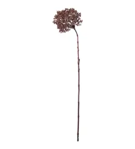 Bärkvist - Burgundy - 74 cm - www.frokenfraken.se