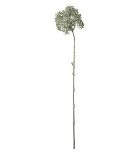 Bärkvist - Grön - 74 cm - www.frokenfraken.se