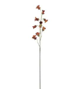Blåklocka - Brun - 85 cm - www.frokenfraken.se