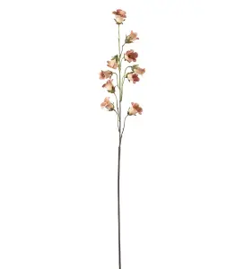 Blåklocka - Persika - 85 cm - www.frokenfraken.se