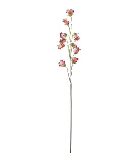 Blåklocka - Rosa - 85 cm - www.frokenfraken.se