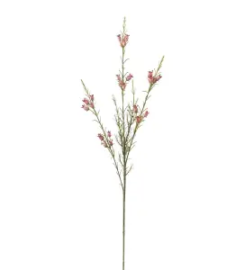 Calluna - Rosa - 63 cm - www.frokenfraken.se