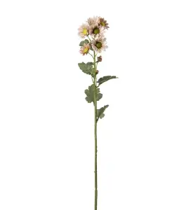 Chrysanthemum - Rosa - 58 cm - www.frokenfraken.se