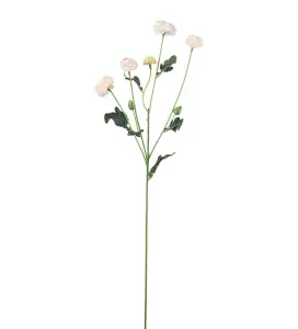 Chrysanthemum - Rosa - 60 cm - www.frokenfraken.se