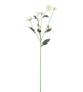 Chrysanthemum - Vit - 60 cm - www.frokenfraken.se