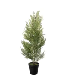 Cypress - Grön - 65 cm - www.frokenfraken.se