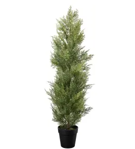 Cypress - Grön - 95 cm - www.frokenfraken.se