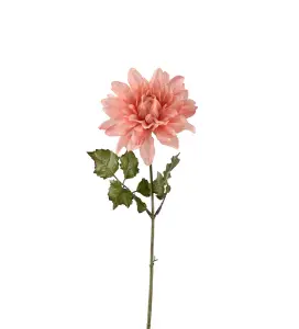 Dahlia - Rosa - 45 cm - www.frokenfraken.se