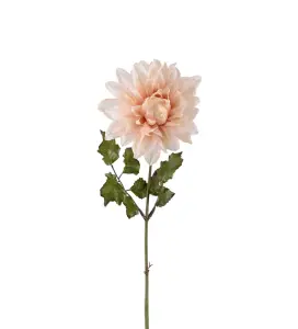 Dahlia - Rosa - 45 cm - www.frokenfraken.se