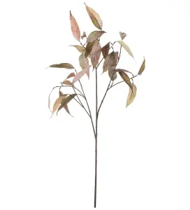 Eucalyptus - Brun - 90 cm - www.frokenfraken.se