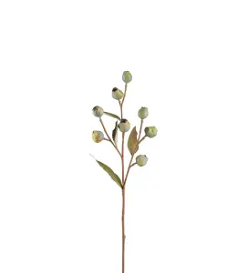 Eucalyptuskvist med bär - Grön - 65 cm - www.frokenfraken.se