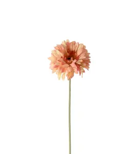 Gerbera - Orange - 55 cm - www.frokenfraken.se