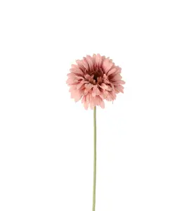 Gerbera - Rosa - 55 cm - www.frokenfraken.se