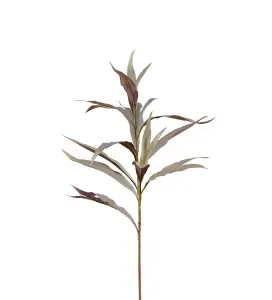Grevilleakvist - Grå - 85 cm - www.frokenfraken.se