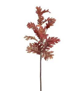 Höstlöv - Ek - Brun - 110 cm - www.frokenfraken.se