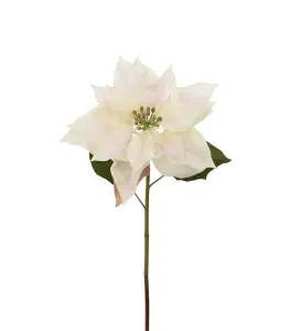 Julstjärna - Cream - 70 cm - www.frokenfraken.se