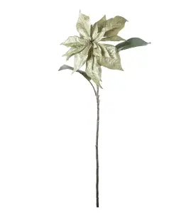 Julstjärna - Grön - 70 cm - www.frokenfraken.se