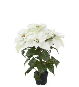 Julstjärna - Vit - 45 cm - www.frokenfraken.se