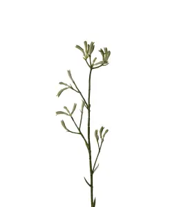 Kängurutass - Grön - 78 cm - www.frokenfraken.se