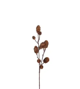 Kvist med kottar - Brun - 70 cm - www.frokenfraken.se