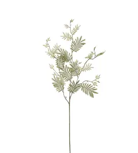 Mimosakvist - Grön - 110 cm - www.frokenfraken.se