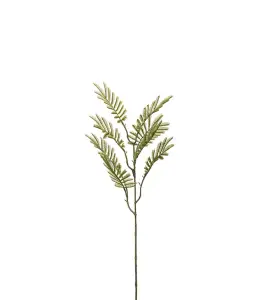 Mimosakvist - Grön - 65 cm - www.frokenfraken.se